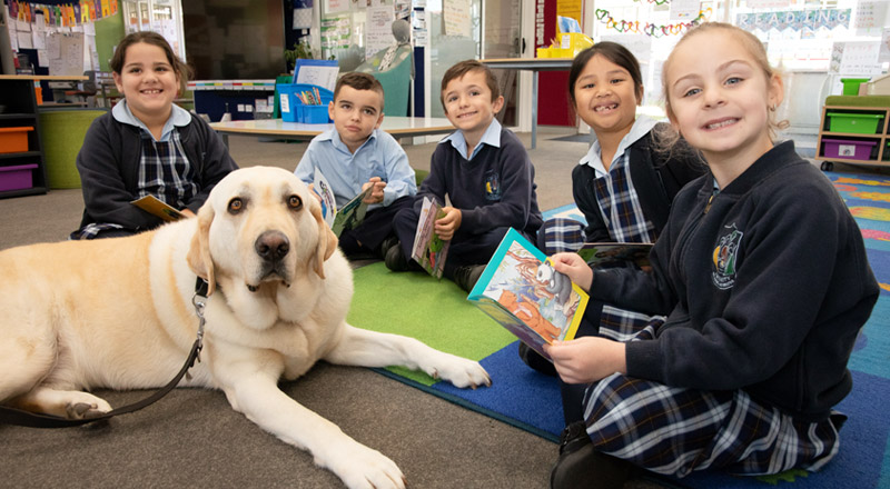 Trinity Catholic Primary Kemps Creek support dog, Yale, with students who are reading library books.