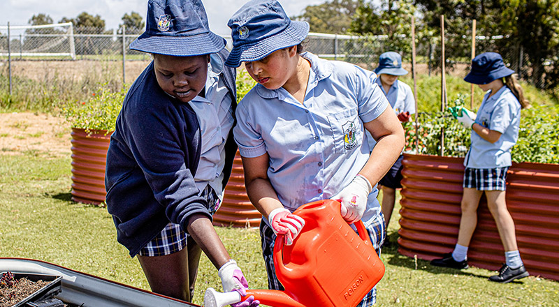 Trinity Primary School Kemps Creek students gardening