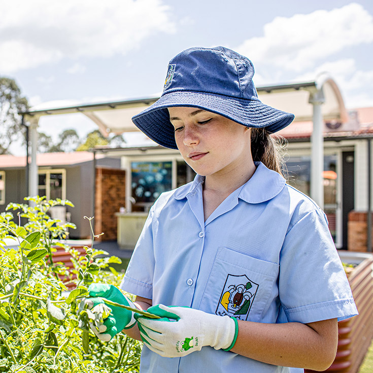 Gardening at Trinity Catholic Primary Kemps Creek