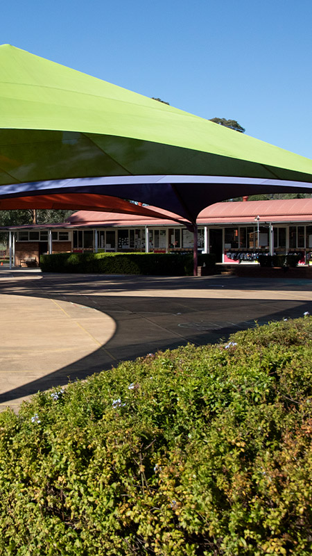 Trinity Catholic Primary School grounds