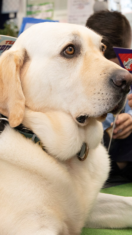 Trinity Catholic Primary Kemps Creek