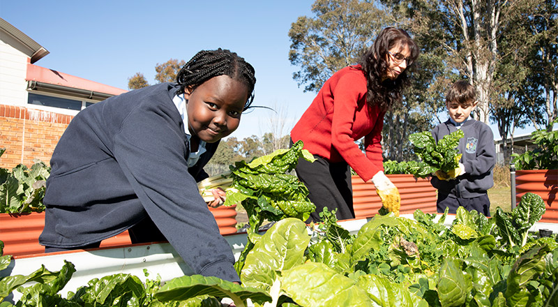 Trinity Catholic Primary School Kemps Creek Garden