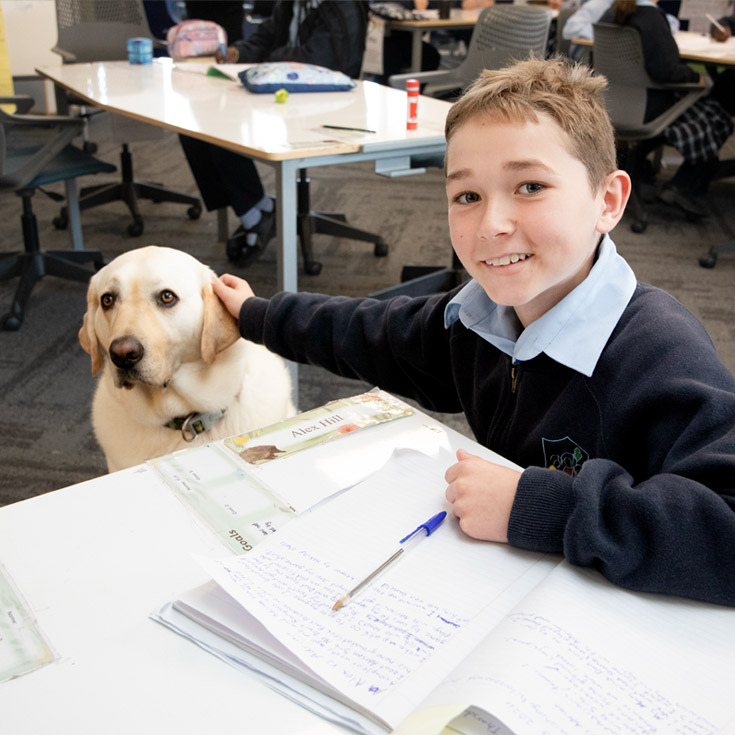 Learning at Trinity Catholic Primary Kemps Creek with Yale the wellbeing dog