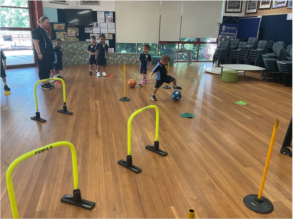 745318690731399_1364413755488553-1