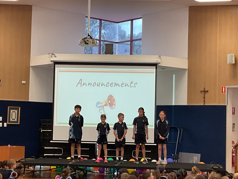 745318690731399_1371457124784216-1